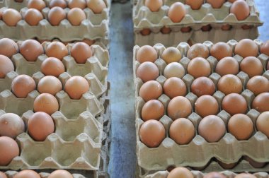 Karton bir kutuda taze yumurtalar