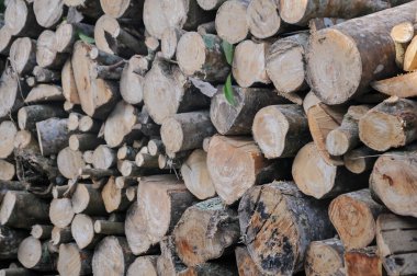 Kışın yakacak odunlar, ısıtma ve ısıtma için yakacak odun, odun, odun, odun, odun, kütük.