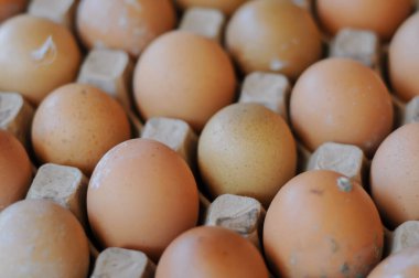 Pakette kahverengi tavuk yumurtası var.