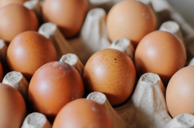 fresh eggs in a carton box.