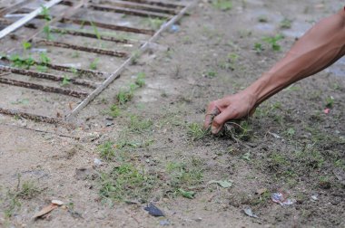 Bahçeye el dikiyorum.