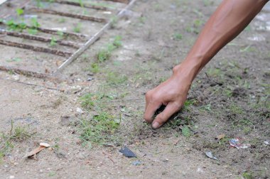 Toprakta bir kürek tutan el.