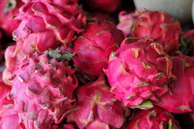 taze kırmızı ejderha meyvesi