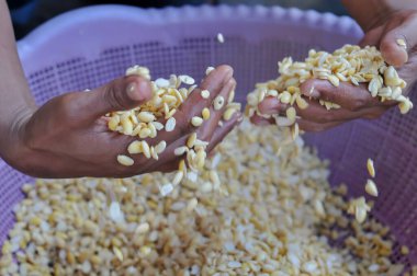 soya fasulyesi temizleme işlemi