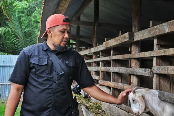 Riau-Endonezya, 30 Mayıs 2025, sakallı adam keçi kafası tutuyor.