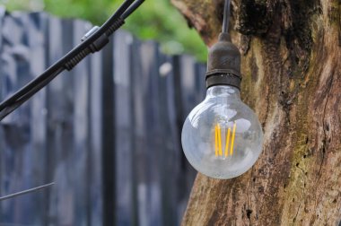 LED filament ampulünün yakılması ve elektrik kablosu ile bir ağaç gövdesinde asılı durması, açık hava aydınlatma, enerji ve yaratıcı dekorasyon kavramı.