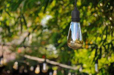 LED filament ampulünün yakılması ve elektrik kablosu ile bir ağaç gövdesinde asılı durması, açık hava aydınlatma, enerji ve yaratıcı dekorasyon kavramı.