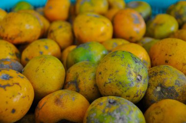 Close-up of a Large Pile of Unpolished Indonesian Local Oranges with Yellow and Green Peels