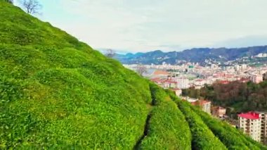 Serene, şehir mimarisi ve yaşam tarzını gözler önüne seriyor. Yüksek çözünürlüklü Merkez, Rize, Türkiye - 20 Mart 2024 'te bir dağdaki küçük bir köy evinin kuş bakışı görüntüsü