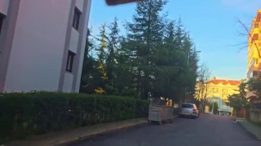 Araba süren arabalar.