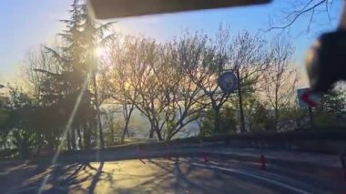 Sabahları parkın manzarası.