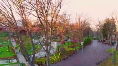 Sabahları parkın manzarası.