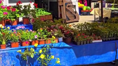 İsrail 'in tel aviv kentindeki pazarda sebze ve meyve satılıyor.