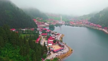 Yazın güzel renkli göl manzarası