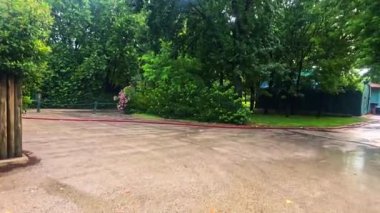 Güzel manzara. doğa arkaplanı