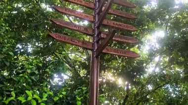 Şehir parkının güzel manzarası