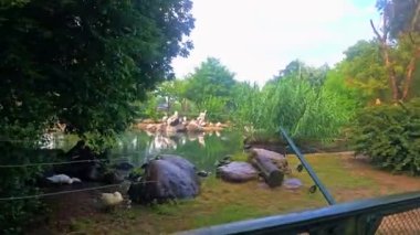 Parkın güzel manzarası