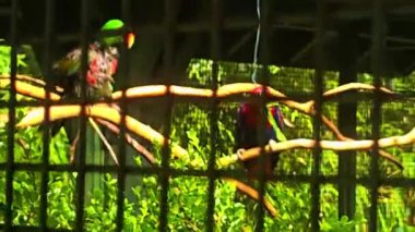 Hayvanat bahçesinin güzel manzarası.