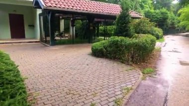 Bahçede güzel kırmızı ve beyaz çiçekler