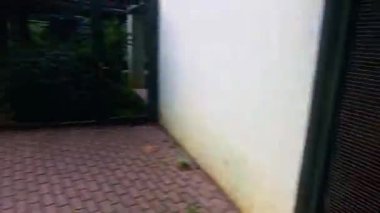 Parkın güzel manzarası
