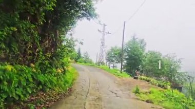 Ormanın güzel manzarası