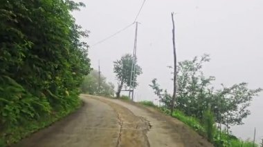 Ormanda yol