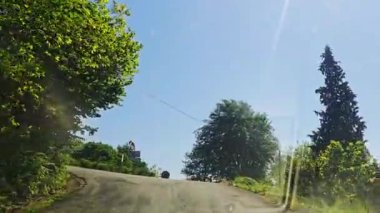 Ormanın güzel manzarası