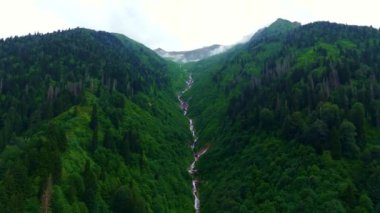 Karpatlar 'daki dağ nehri