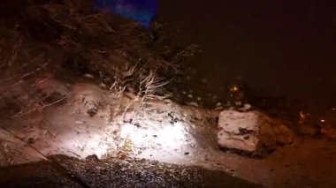 Kış orman, ağaçlar ve kar