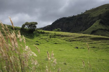 yeşil alan ve arka planda dağlar