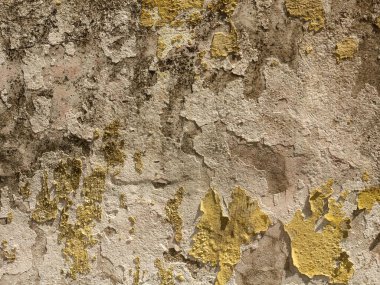 Lekeli lekelerle dolu desenli beton duvar yüzeyinin arka planı