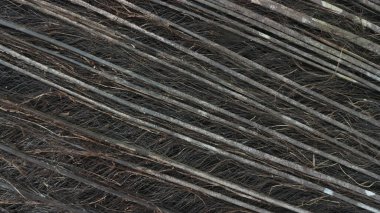  Palmiye ağacı dış lif dokusu, palmiye lifleri doğal arka plan