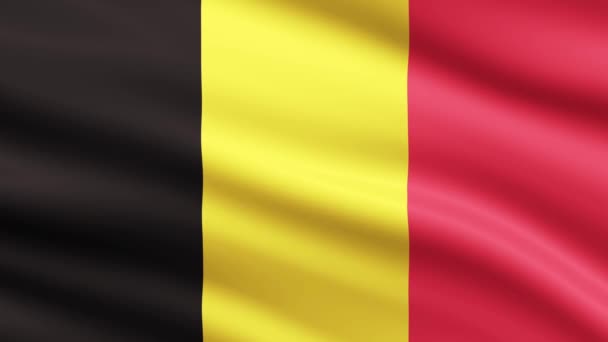 Bandera Bélgica Ondeando Animación Fondo Pantalla Completa — Vídeos de Stock