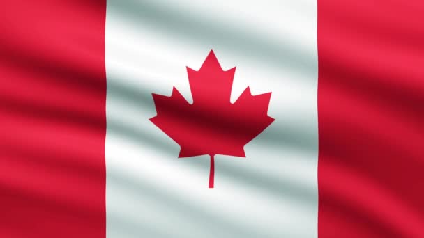 Καναδική Σημαία Κυματίζει Πλήρη Οθόνη Animation Φόντο — Αρχείο Βίντεο