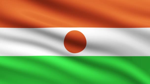 Niger Flag Animation Waving Background Full Screen — Stock Video