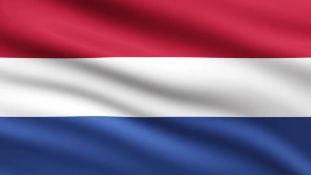 Holandia Flaga Fala Animacja Tło Pełny Ekran — Wideo stockowe