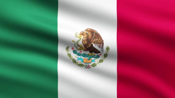 Mexiko Flagga Animation Viftande Helskärm Bakgrund — Stockvideo