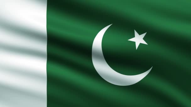 Die Flagge Pakistans Weht Hintergrund Auf Vollbild — Stockvideo