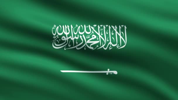 Animace Pozadí Celé Obrazovky Mávající Saúdskou Vlajkou — Stock video