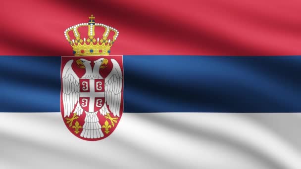 Bandeira Sérvia Acenando Fundo Tela Cheia Animado — Vídeo de Stock