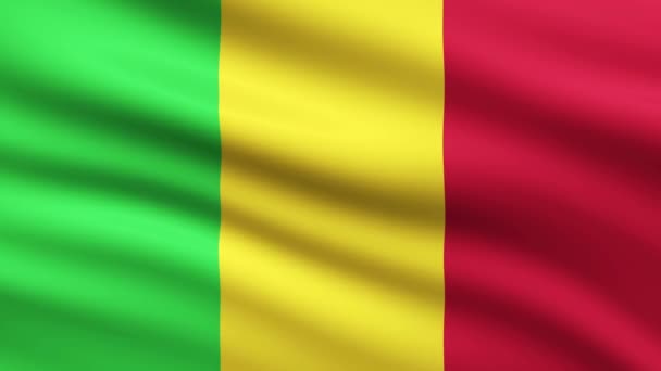 Bandera Malí Ondeando Animación Pantalla Completa Fondo Bandera Animada — Vídeo de stock