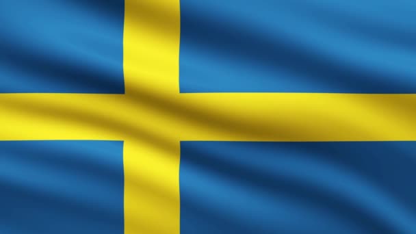 Animace Vlnění Vlajky Švédska Celé Obrazovce Animovaná Vlajka Pozadí — Stock video