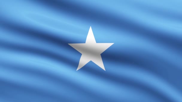 Somalia Flagge Schwenken Animation Vollbild Hintergrund Animierte Flagge — Stockvideo