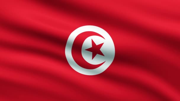 Tunesië Vlag Zwaaien Volledig Scherm Achtergrond Animatie Tunesische Vlag Volledig — Stockvideo