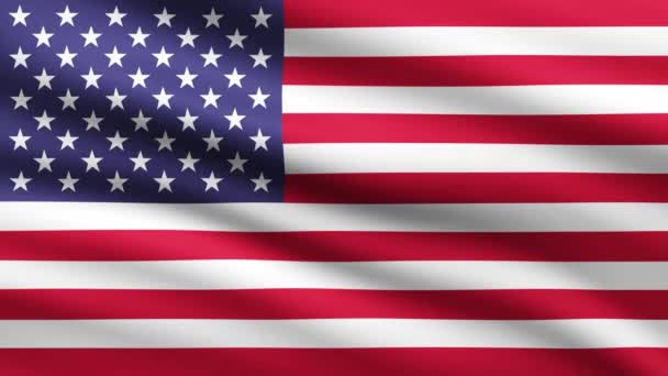American Flag Waving Animation Full Screen Background Animated Flag Animated — Stock video
