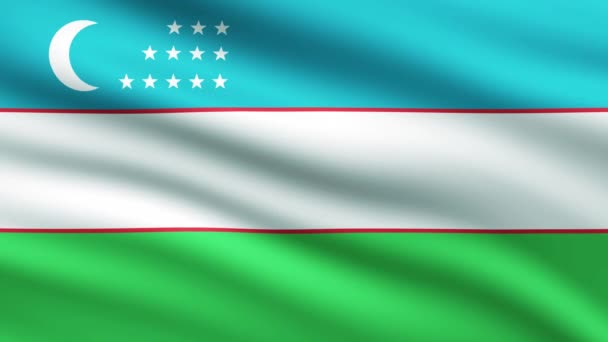 Uzbekistan Flag Waving Animation Full Screen Background Animated Flag — Stock Video