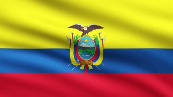 Σημαία Του Ισημερινού Κυματίζοντας Κινούμενο Φόντο Πλήρης Σημαία Οθόνης Του — Αρχείο Βίντεο