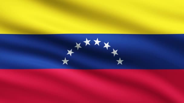 Venezuela Vlag Zwaaien Animatie Achtergrond Volledig Scherm Vlag Van Venezuela — Stockvideo