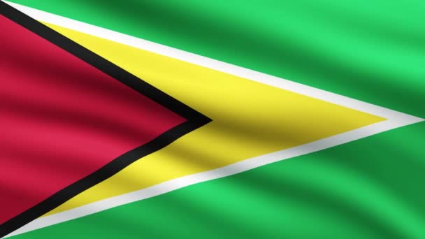 Guyana Zászló Integetés Animáció Háttér Teljes Képernyő Zászló Guyana Animált — Stock videók