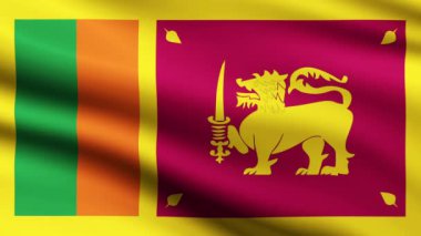Sri Lanka Bayrak Sallama Animasyon Arkaplanı Sri Lanka Tam Ekran Bayrağı Canlandırması